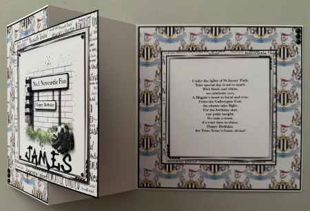 football Newcastle BP by Erika Sissons
