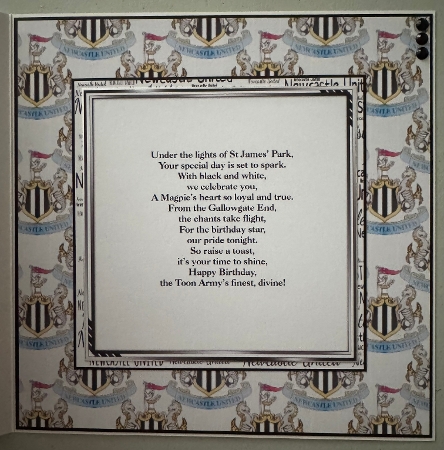 football Newcastle BP by Erika Sissons