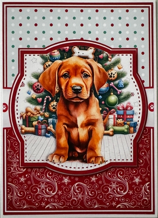 RED FOX LABRADORS - request by Erika Sissons