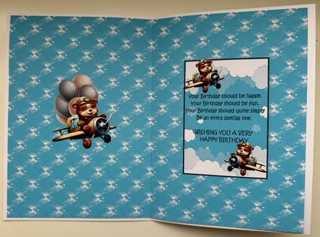 The little Pilot A5 by Erika Sissons