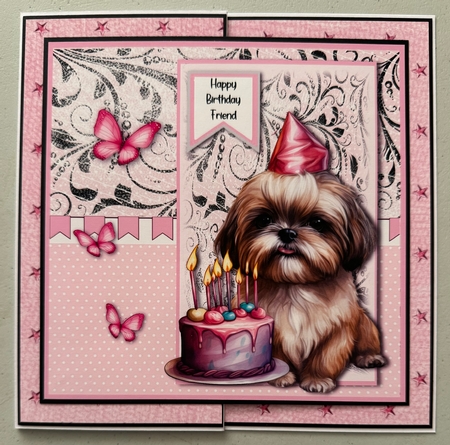 Cute Little dog with Birthday cake by Erika Sissons
