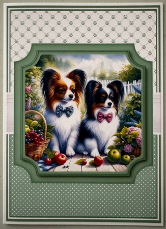 PAPILLON set 1 by Erika Sissons
