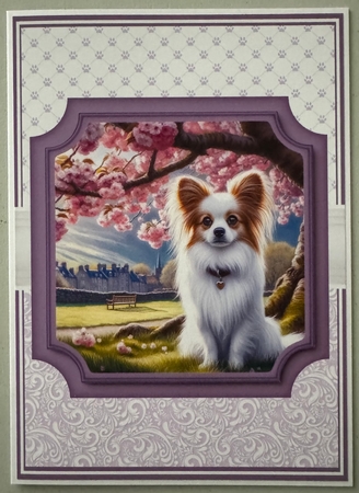 PAPILLON set 2 by Erika Sissons