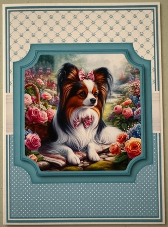 PAPILLON set 3 by Erika Sissons