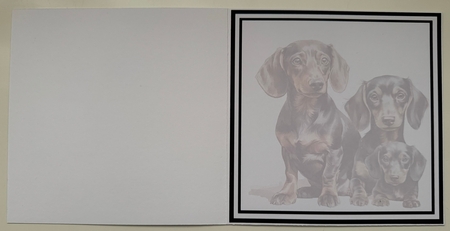 Little Sausages by Erika Sissons