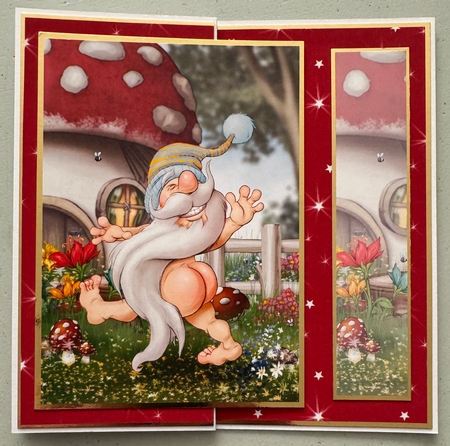 Nudey Gnome Insert by Erika Sissons