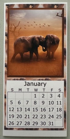 African Elephant 2025 Calendar by Erika Sissons