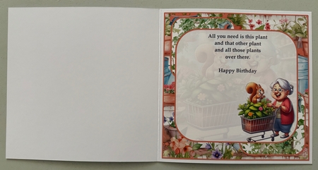 Buy more plants 8x8 by Erika Sissons