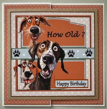 How Old by Erika Sissons