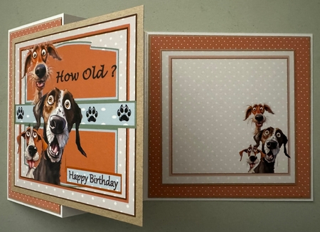 How Old by Erika Sissons