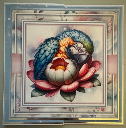 Cute Sleeping Floral Birds 02 Mini Page Kit by Erika Sissons