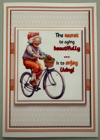 Aging Beautifully by Erika Sissons