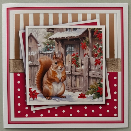 Christmas Squirrel  by Erika Sissons