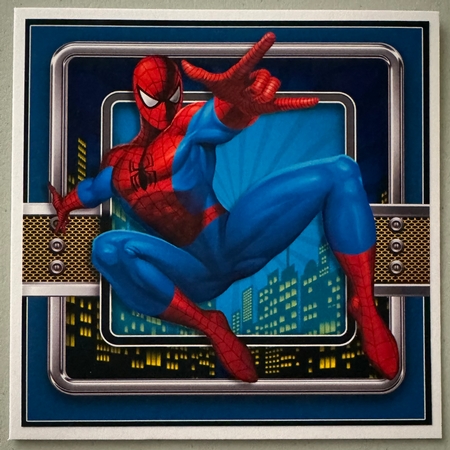 Youre Like Spiderman by Erika Sissons
