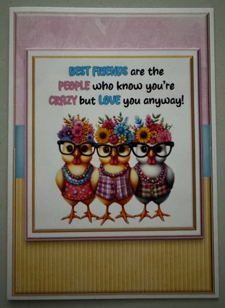 Crazy Friends by Erika Sissons