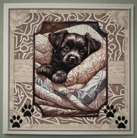 Puppy Love  Birthday Boy  Mini Kit by Erika Sissons