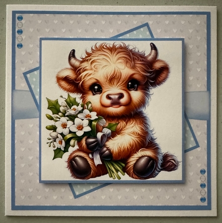 Cute Highland Cow by Erika Sissons