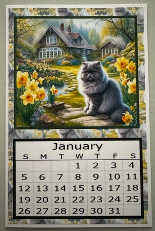2025 Calendar Curious Cat by Erika Sissons