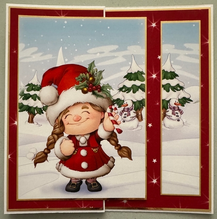 Maisie the Christmas Gnome by Erika Sissons