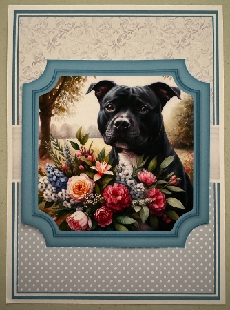 BLACK STAFFY - request by Erika Sissons