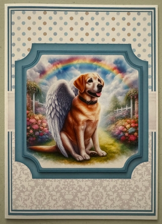 ANGEL DOGS by Erika Sissons