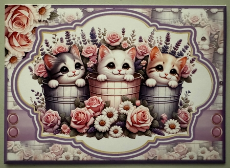 3 Little kittens by Erika Sissons