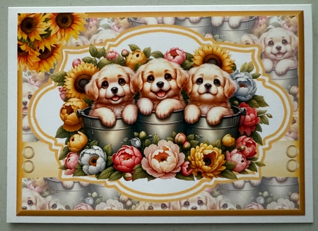 3 Little Puppies by Erika Sissons