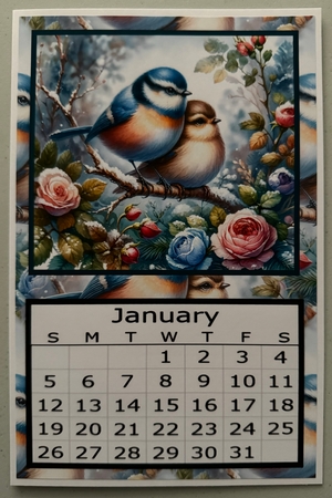 Enjoying the View 2025 Calendar by Erika Sissons