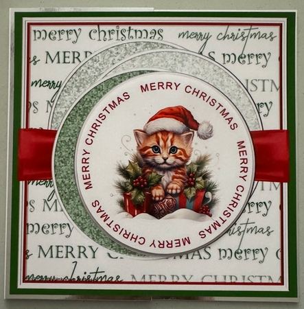 Christmas Kittens by Erika Sissons