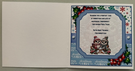 Festive owls 8x8 by Erika Sissons