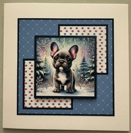 Winter Frenchie Puppy by Erika Sissons
