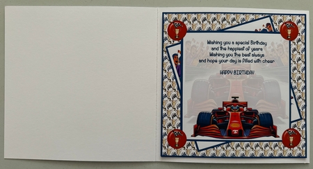 Formula one driving 8x8 by Erika Sissons