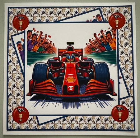 Formula one driving 7x7 by Erika Sissons