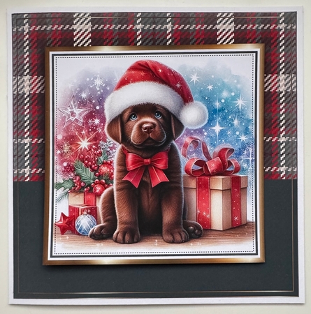 8x8 Christmas Pooches Collection 2 Mini Kit by Erika Sissons