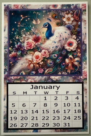Beautiful Peacocck 2 -  2025 Calendar by Erika Sissons