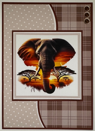 African Wildlife by Erika Sissons