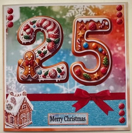 25 Days by Erika Sissons