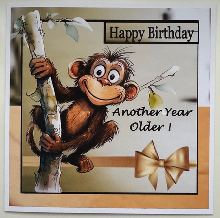 Monkeying Around  by Erika Sissons