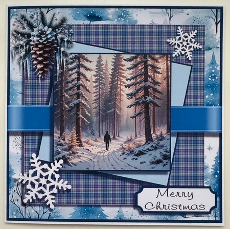 Snowy Winter Forest Walk by Erika Sissons