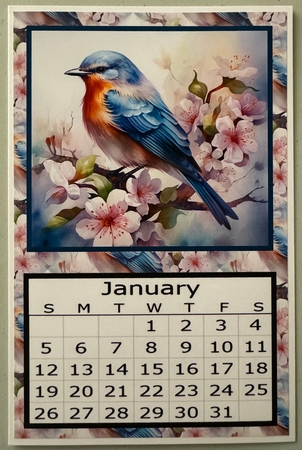 Bird on Branch - 2025 Calendar by Erika Sissons