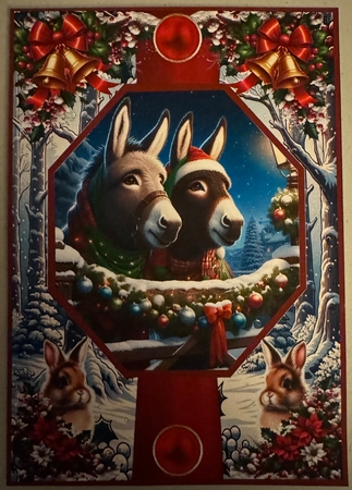 Donkeys at Christmas by Erika Sissons
