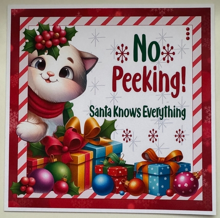 No Peeking Cat Mini Kit by Erika Sissons