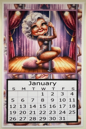 The Spot Light - 2025 Calendar by Erika Sissons