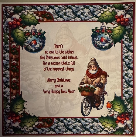 Christmas bike ride 8x8 by Erika Sissons