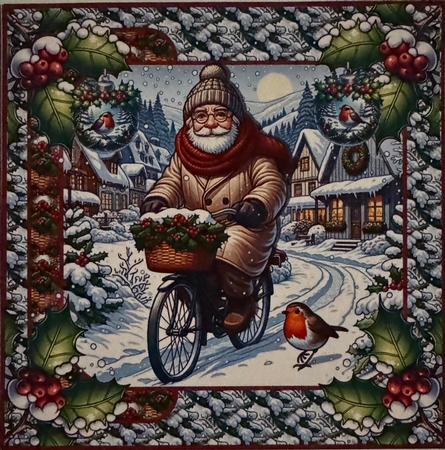 Christmas day bike ride 7x7 by Erika Sissons