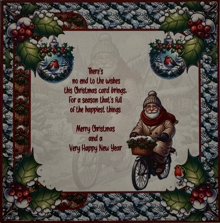 Christmas day bike ride 7x7 by Erika Sissons