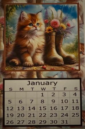 Puss and Boots 2 - 2025 Calendar by Erika Sissons