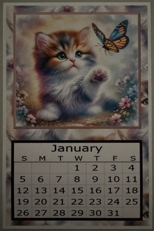 Magical Kitten - 2025 Calendar by Erika Sissons