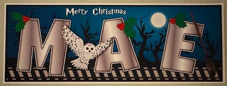 Christmas Wizard & Magic MAE large dl by Erika Sissons
