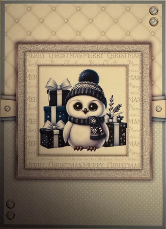 A Cute Christmas Owl by Erika Sissons